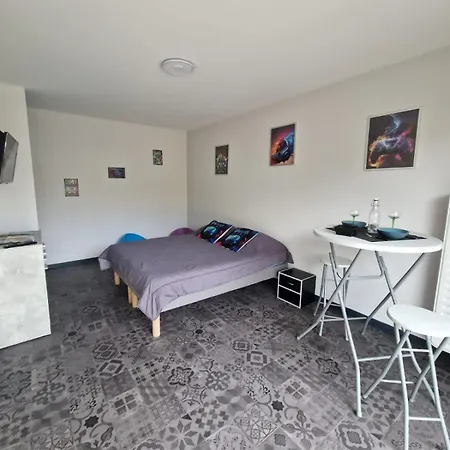 Apartment Gameroom Mulhouse